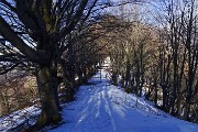 18 Sentiero alberato di faggi